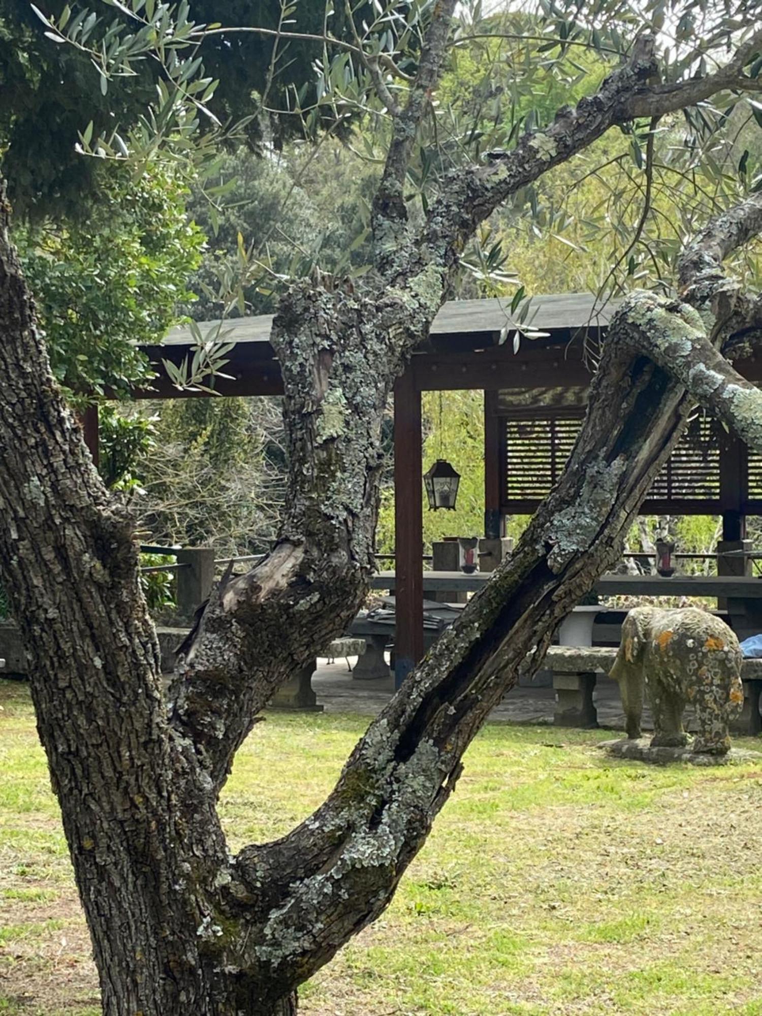 Il Castelletto Della Palanzana Villa Viterbo Luaran gambar